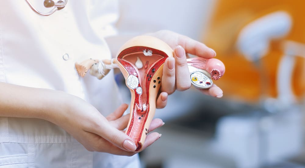 Vorsorge Krebsfrüherkennung Frauenärzte Heilsbronn 2